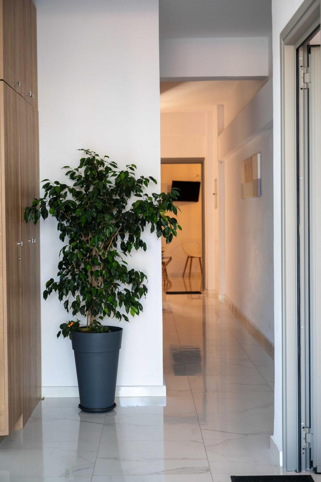 Finikas Suites & Apartments 10Min From Athens Airport Artemida  Exterior photo