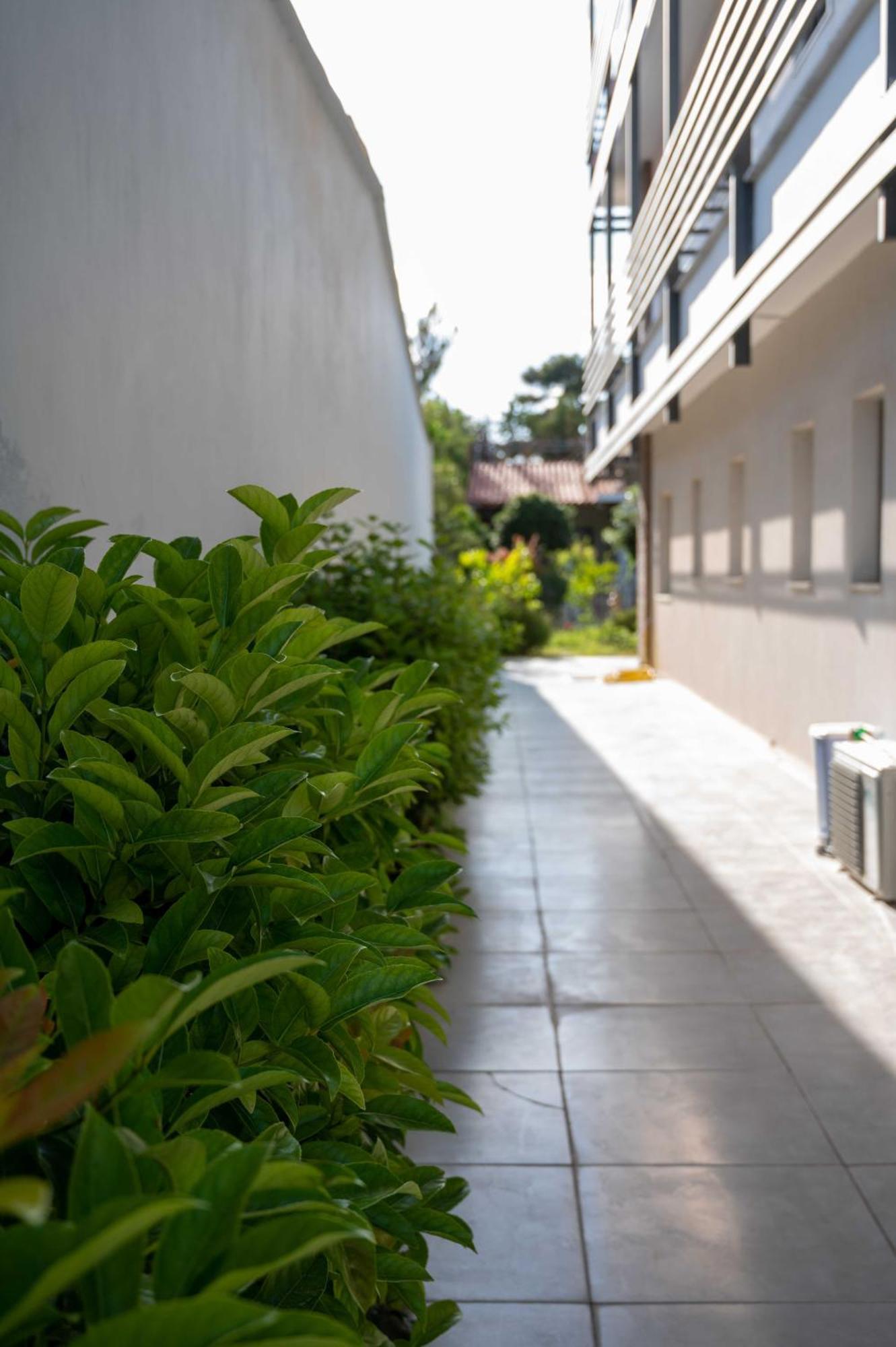 Finikas Suites & Apartments 10Min From Athens Airport Artemida  Exterior photo